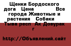 Щенки Бордоского дога › Цена ­ 60 000 - Все города Животные и растения » Собаки   . Тыва респ.,Ак-Довурак г.